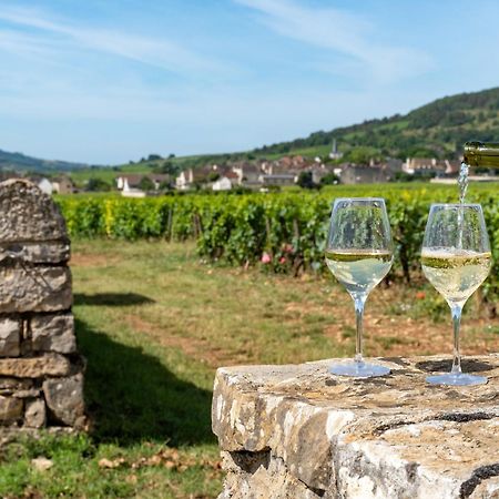 Charmante Maison Climatisee Avec Son Jardin A 5 Minutes De Dijon Saint-Apollinaire  Luaran gambar