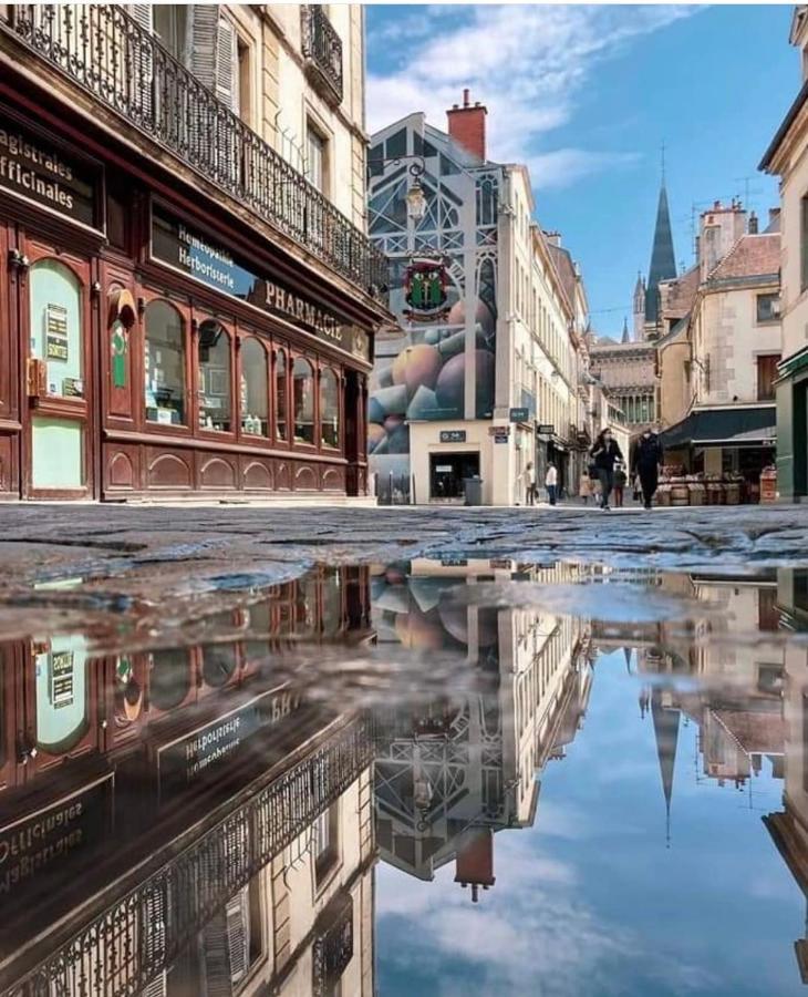 Charmante Maison Climatisee Avec Son Jardin A 5 Minutes De Dijon Saint-Apollinaire  Luaran gambar